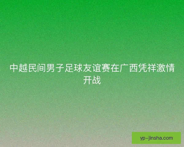 中越民间男子足球友谊赛在广西凭祥激情开战